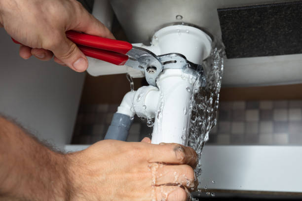 Best Water damage repair service  in Remlap, AL