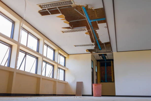  Remlap, AL Water damage restoration Pros