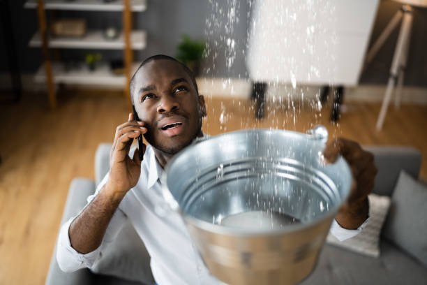 Best Professional water damage repair  in Remlap, AL
