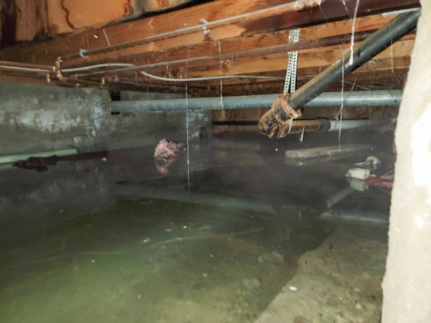 Best Sewage cleanup and water damage restoration  in Remlap, AL