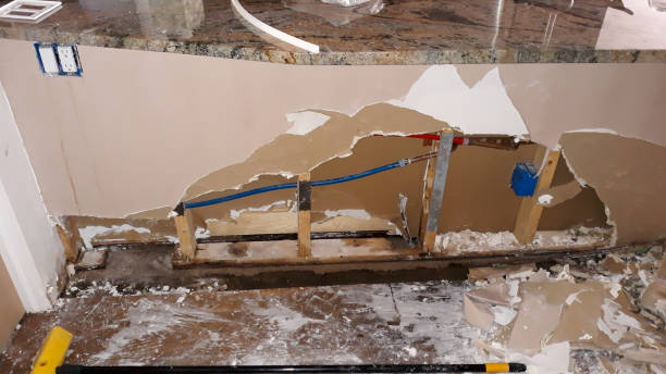 Best Residential water damage restoration  in Remlap, AL