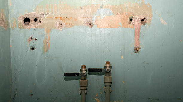 Carpet water damage restoration in Remlap, AL