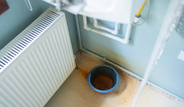 Best Ceiling water damage repair  in Remlap, AL